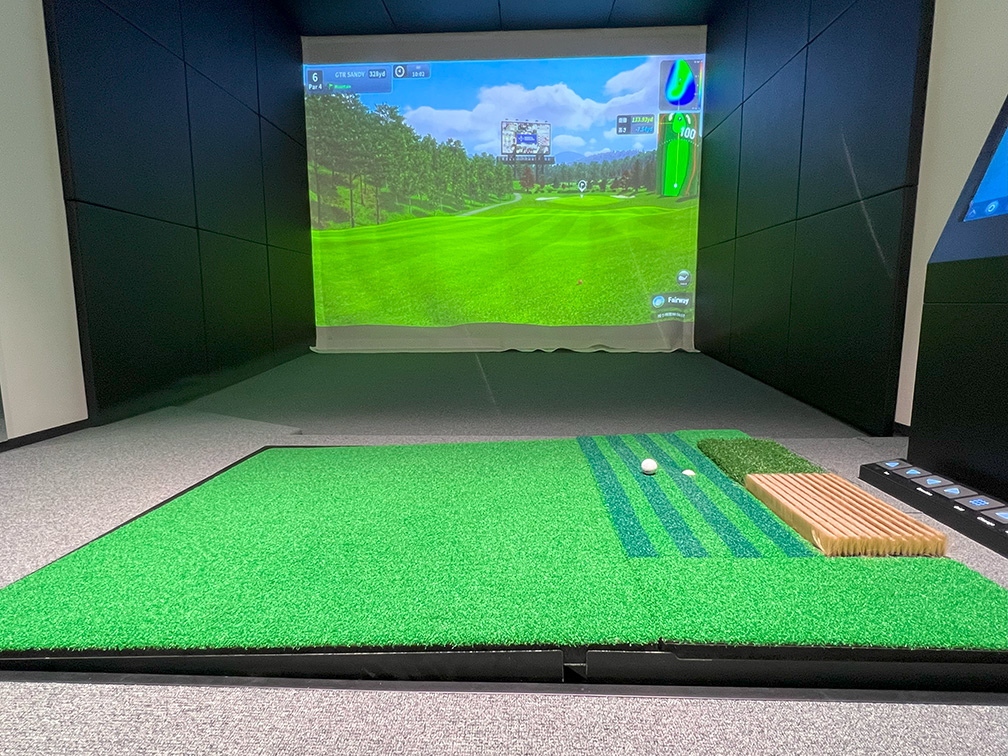 3Dスイングプレート 画像